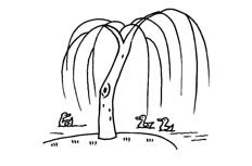 河边的柳树简笔画_柳树小鸭子场景画