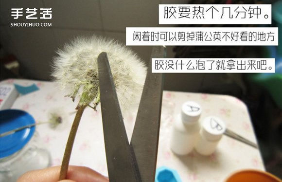 蒲公英树脂标本DIY 嵌花树脂蒲公英制作教程