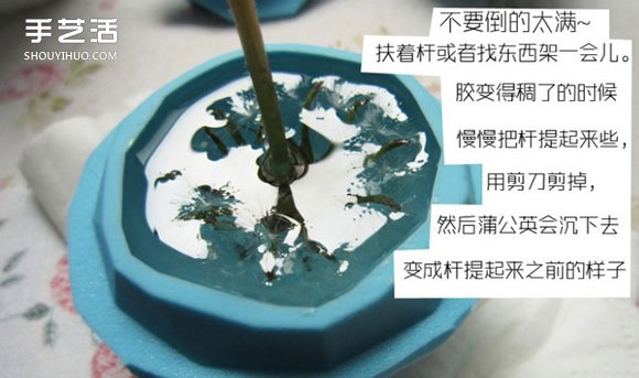 蒲公英树脂标本DIY 嵌花树脂蒲公英制作教程