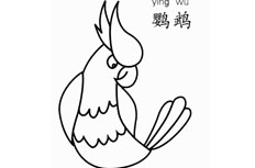 鹦鹉简笔画图片怎么画