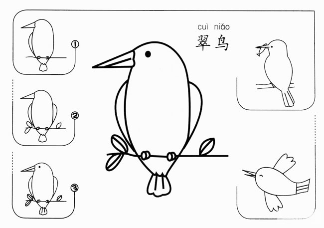 翠鸟简笔画图片 翠鸟怎么画