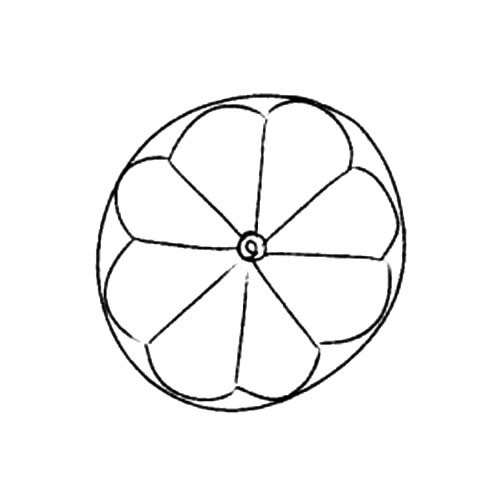 柠檬片简笔画图片 柠檬片怎么画