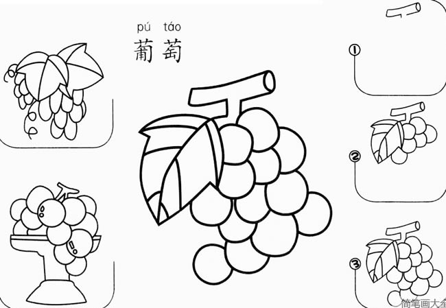 葡萄怎么画简笔画 葡萄怎么画