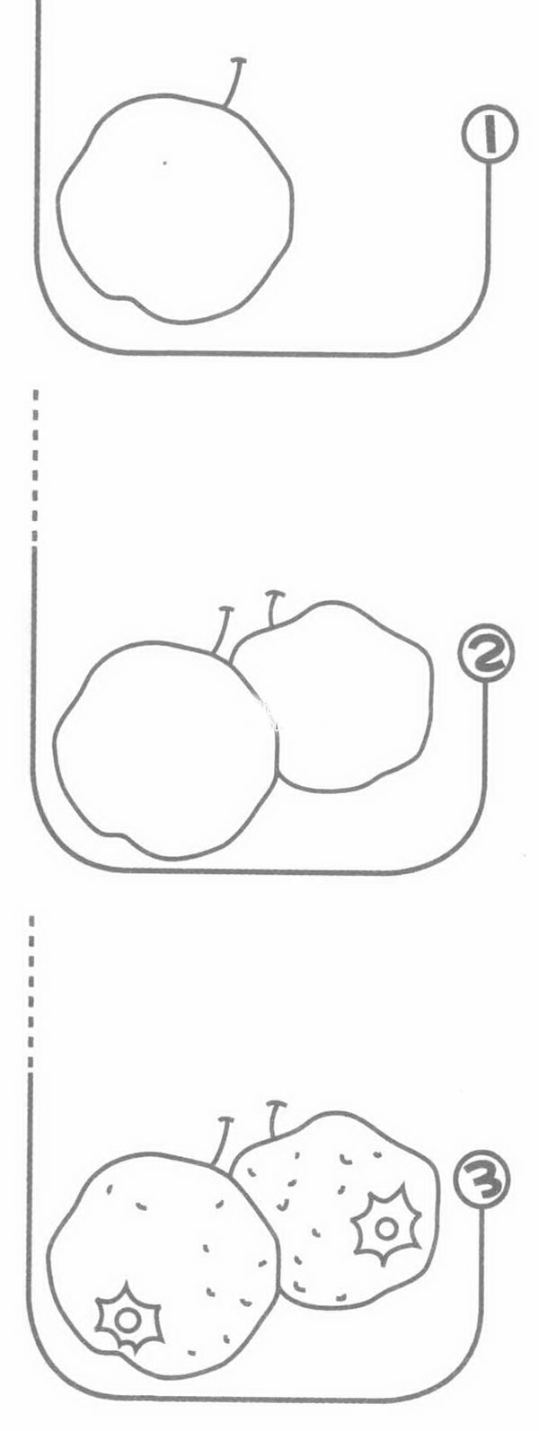 山楂简笔画图片怎么画