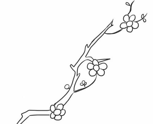 一支梅花简笔画图片 一支梅花怎么画