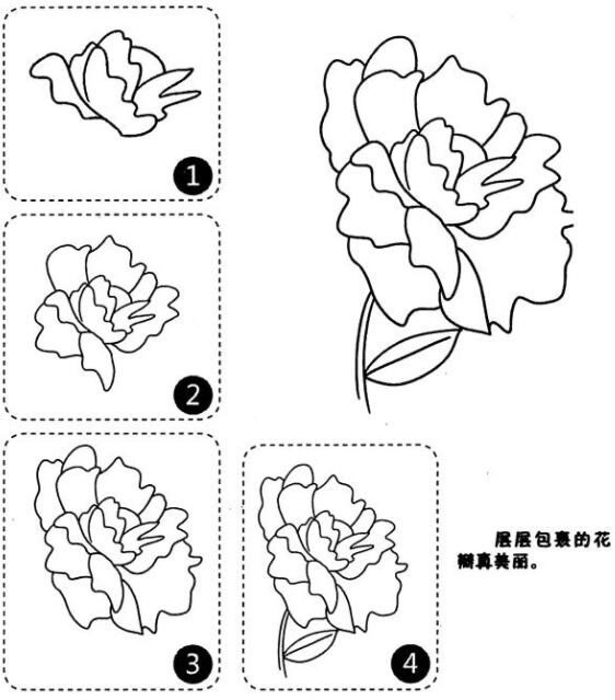 牡丹花简笔画图片怎么画