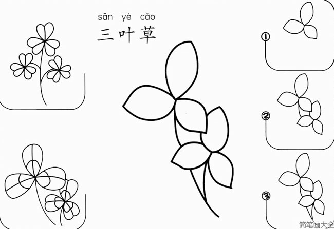 三叶草简笔画图片怎么画