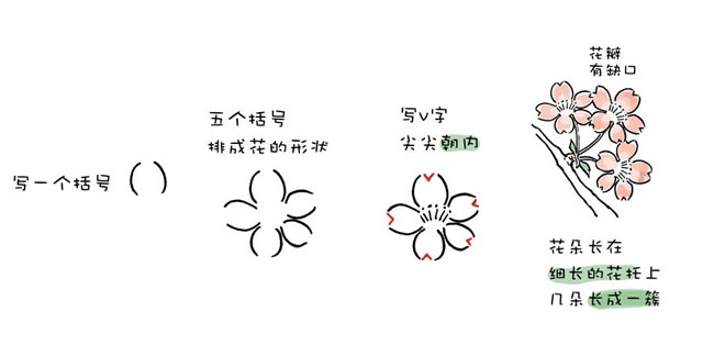 樱花水彩简笔画图片 樱花怎么画