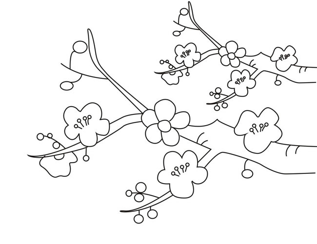 简单的腊梅简笔画图片 腊梅怎么画