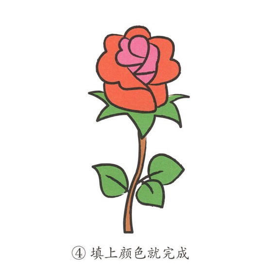 红玫瑰简笔画图片怎么画