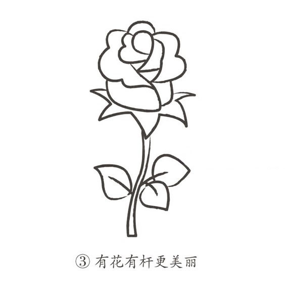 红玫瑰简笔画图片怎么画