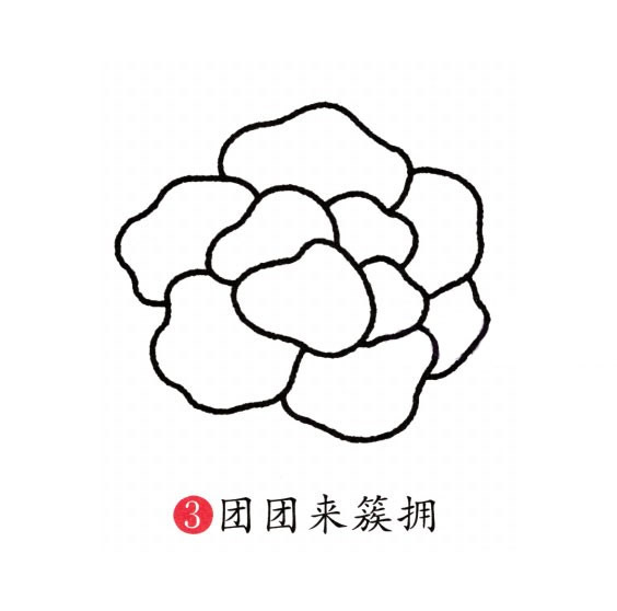 牡丹花简笔画图片 牡丹花怎么画