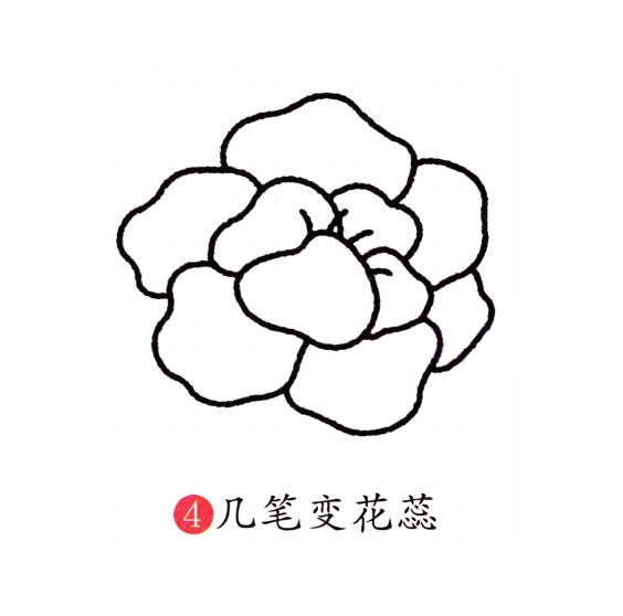 牡丹花简笔画图片 牡丹花怎么画