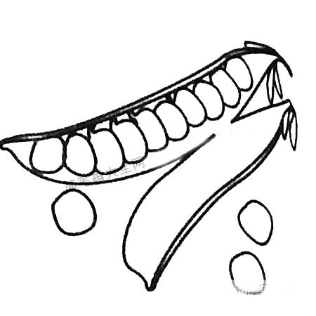 豌豆简笔画图片 豌豆怎么画