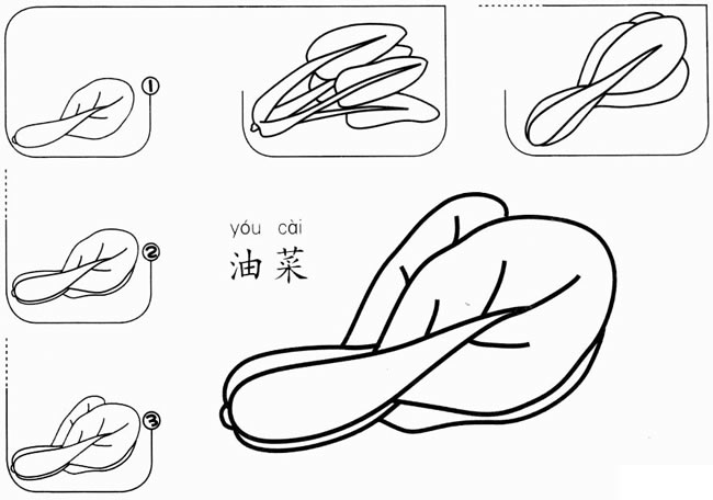 油菜简笔画图片 油菜怎么画