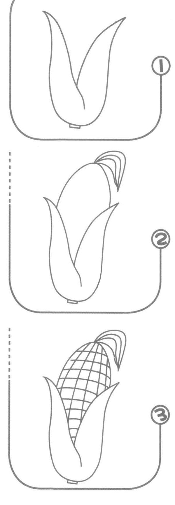 玉米简笔画图片怎么画