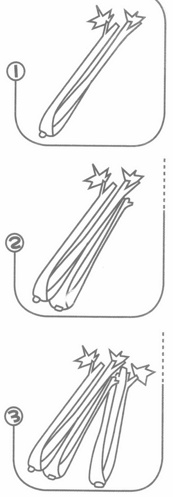 芹菜简笔画图片怎么画