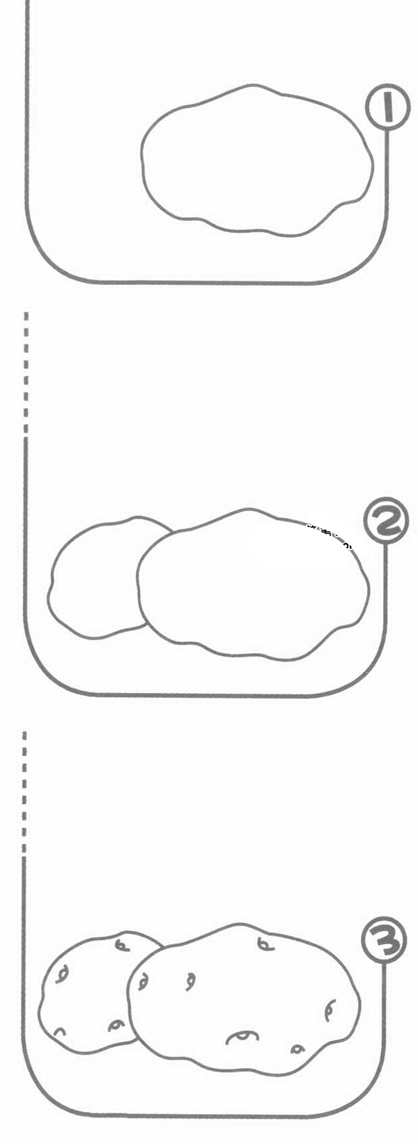 马铃薯简笔画图片 马铃薯怎么画