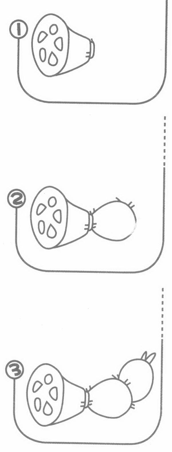 藕简笔画图片 藕怎么画