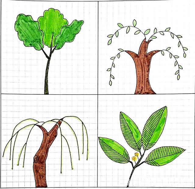 绿植简笔画图片 绿植怎么画