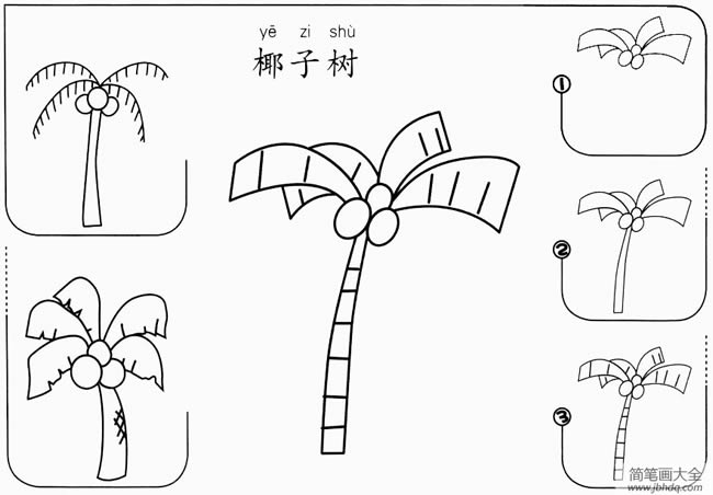 椰子树简笔画骤图图片 椰子树怎么画