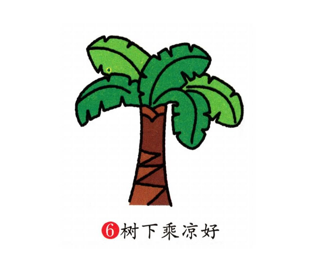 芭蕉树简笔画图片怎么画