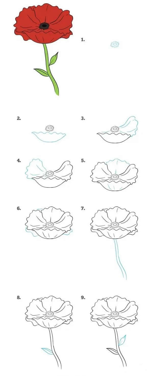 红菊花简笔画图片 红菊花怎么画