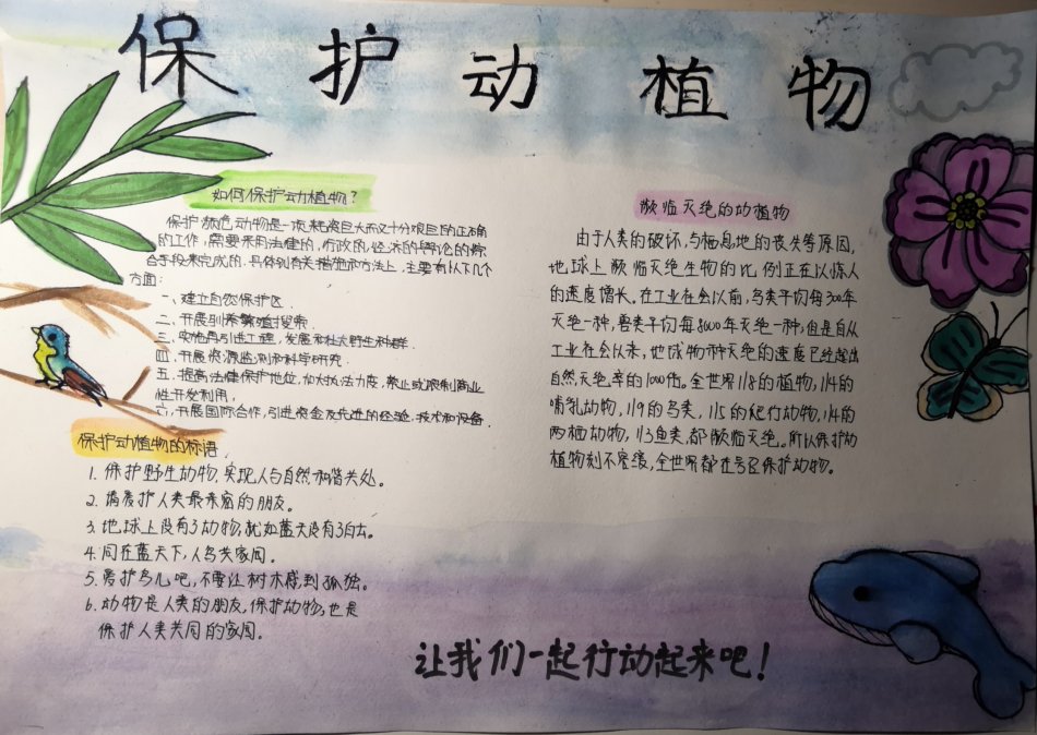 保护植物手抄报图片 如何保护植物