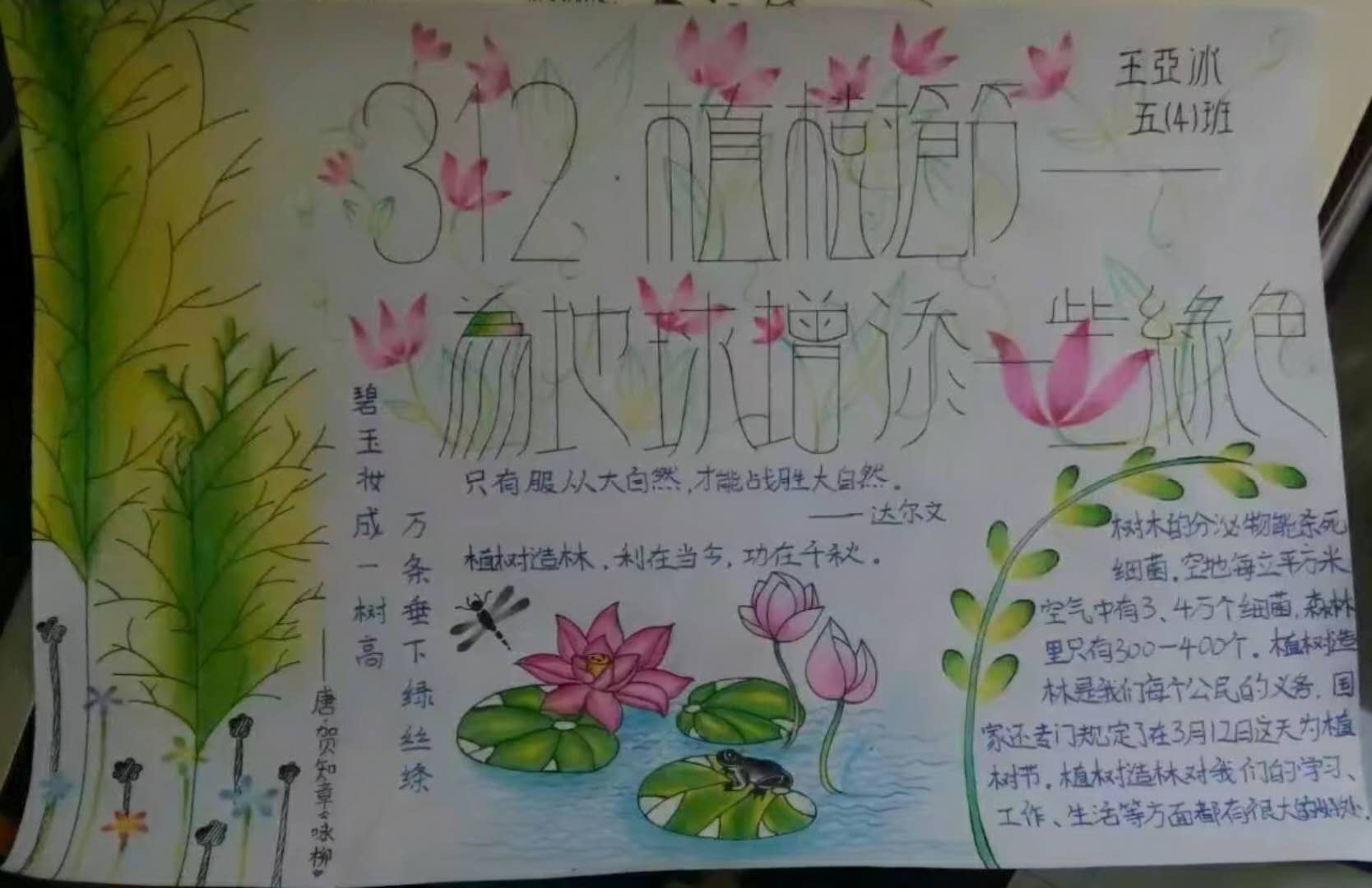 3.12植树节手抄报图片