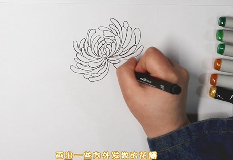 漂亮的菊花简笔画图片怎么画