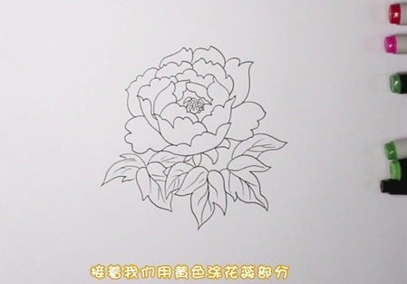 牡丹花简笔画图片怎么画