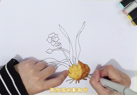 水仙花简笔画图片 水仙花怎么画