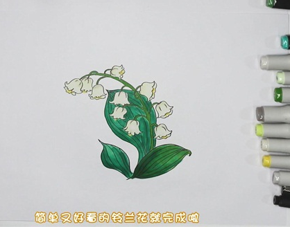 铃兰花简笔画图片 铃兰花怎么画