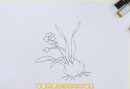 水仙花简笔画图片 水仙花怎么画