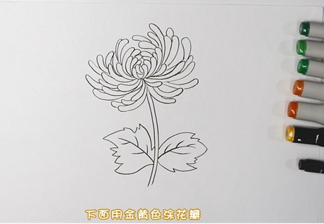 漂亮的菊花简笔画图片怎么画