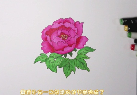 牡丹花简笔画图片怎么画