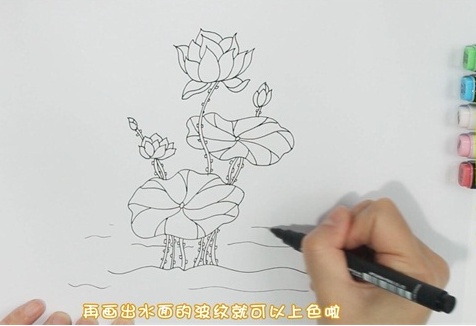 漂亮的荷花简笔画图片怎么画