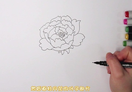 牡丹花简笔画图片怎么画