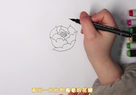 牡丹花简笔画图片怎么画