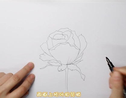 简单又好看的玫瑰花简笔画图片怎么画