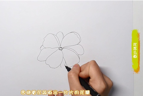 花简笔画图片怎么画