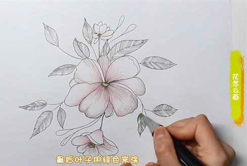 花简笔画图片怎么画