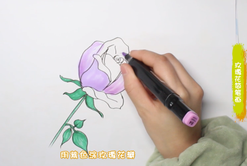 蓝色玫瑰花简笔画图片怎么画