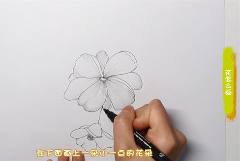 花简笔画图片怎么画