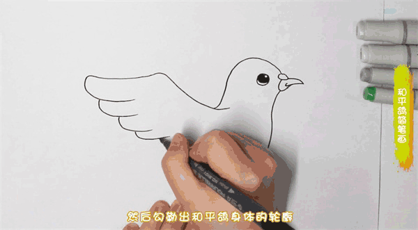 和平鸽简笔画图片 鸽子怎么画的