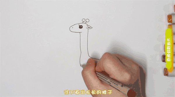 长颈鹿简笔画图片 长颈鹿如何画的