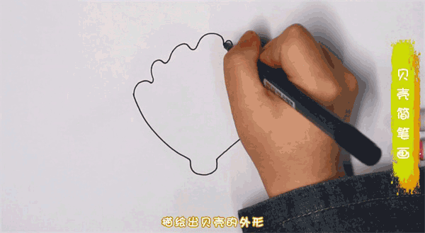 贝壳简笔画图片 贝壳怎么画