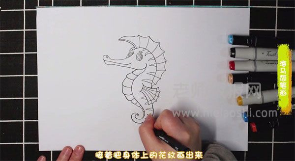 海马简笔画图片 海马怎么画的