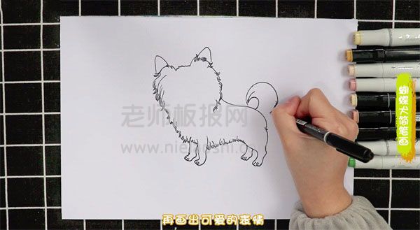 蝴蝶犬简笔画图片 蝴蝶犬怎么画的