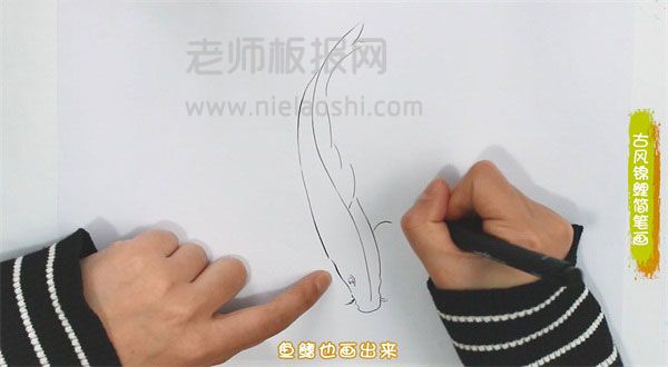 古风锦鲤简笔画图片 锦鲤怎么画的